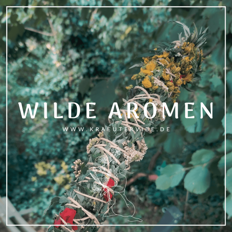 Wilde Aromen - Workshops