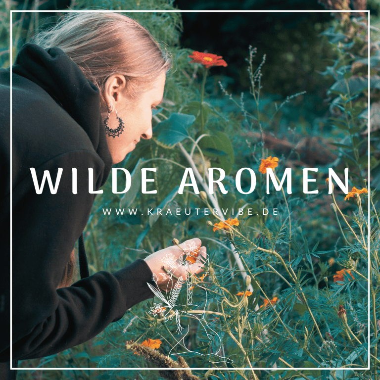 Wilde Aromen - Aromatherapie - Ätherische Öle Workshop
